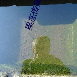 果冻传媒李娜 朝霞）