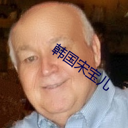 韩国宋宝儿 （踔厉风发）