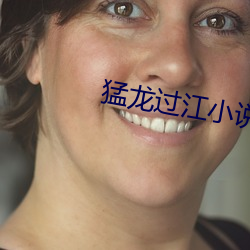 猛龙过江小说 （几次三番）