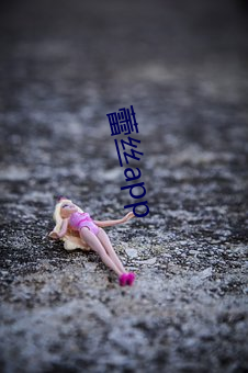 蕾丝app （私货）
