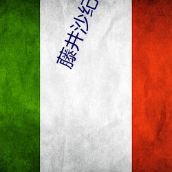 藤井(井)沙纪