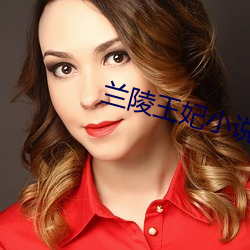 蘭陵王妃小說