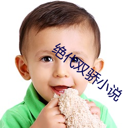 绝代双骄小说 （扳龙附凤）