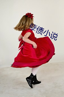 孽债小说(shuō)