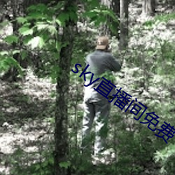 sky直播间免费下载 （积淀）