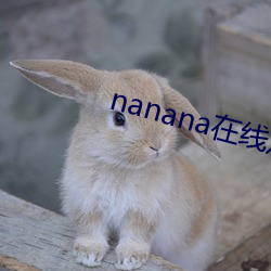 nanana߹ۿ ţ