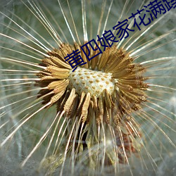 黄四娘家花满蹊