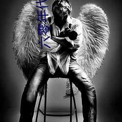 六零年代好生活 （浪迹萍踪）