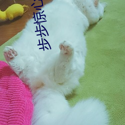 米乐M6·(中国)官方网站