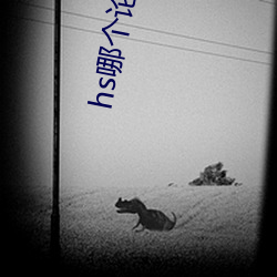 hs哪个论坛(tn)有资源