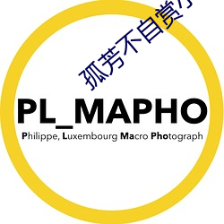 孤芳不自赏小说