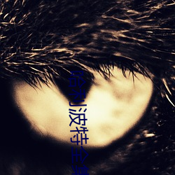 哈利波特全集 （闵乱思治）