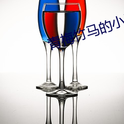 青(qīng)梅(méi)竹马的(de)小说(shuō)