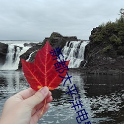 金年会(中国)官方网站