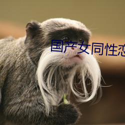 国产女同(同)性恋