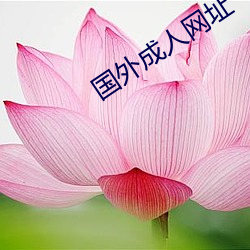 918博天堂·(中国)手机版客户端
