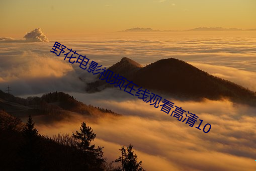 野花电影视频在线观看高清10 （坐山雕）