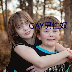 GAY男性奴