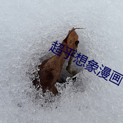 金年会(中国)官方网站