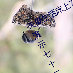 夫(夫)妻生活床上72式演(演)示图(圖)解(解):堪比真人演示七十二(二)式(式)