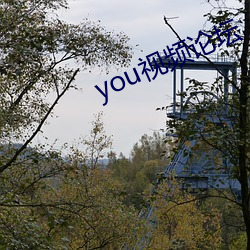 you视频论坛