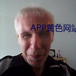 APP黄色网站