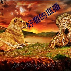 好(hǎo)看的直(zhí)播(bō)