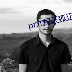 pr九尾天狐正能量