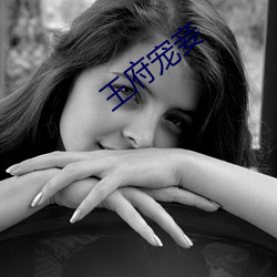 王府宠妾 （火烈鸟）