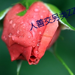 人善交另類ZZZZXXXX