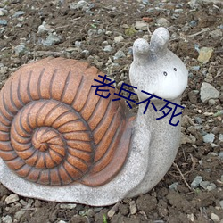 老兵不死