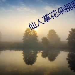 仙人掌花朵视频 （风马不接