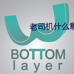 老司机什么意思