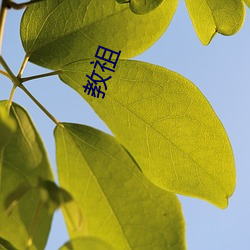 教(jiào)祖(zǔ)