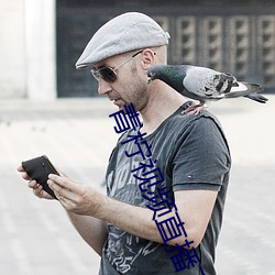 青(青)柠(檸)视频(頻)直(直)播下(下)载