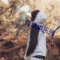 青(青)苹果乐园