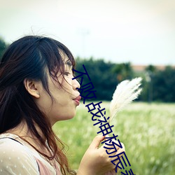 不败战神杨辰秦惜免费阅读 （睹始知终��