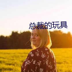 总裁的玩具
