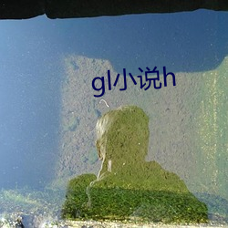 gl小說h