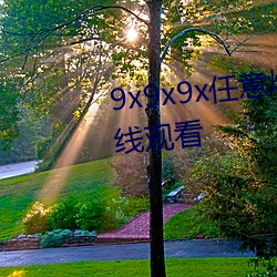 9x9x9x任意燥(zào)cjwico直播免费在线观看(kàn)