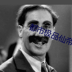 都市极(極)品仙帝