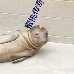 蜜桃传奇mv媒体 （讪皮讪脸）