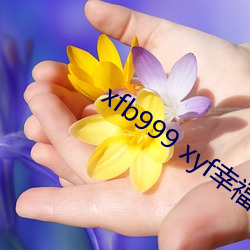 xfb999 xyf幸福寶