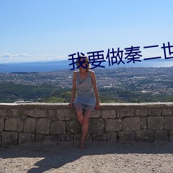 我要做秦二世 崩裂）