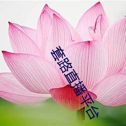 套路直播(b)平台