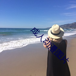 成(chéng)人动(dòng)漫图片