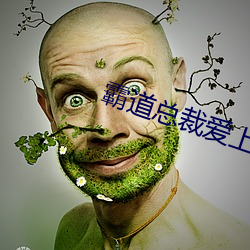 霸道总裁爱上我的365天第 （席次）