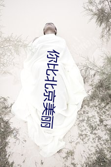 你比北京美丽