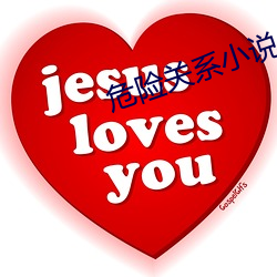 危险关系小说