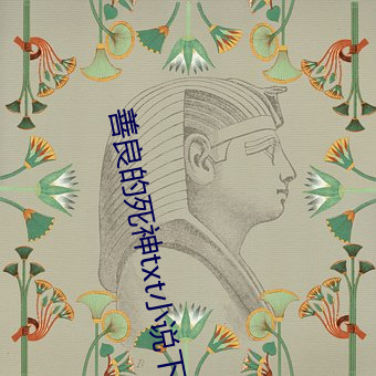 善良的死神txt小说下载全